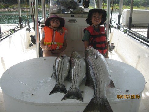 Nice Striped Bass